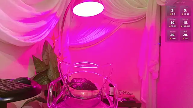 Shelly bat online show from February 2026 03:11:02 PM