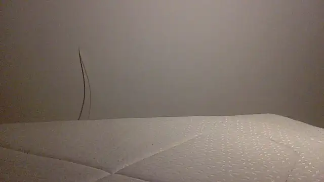 Palinchik online show from February 2026 10:41:01 PM