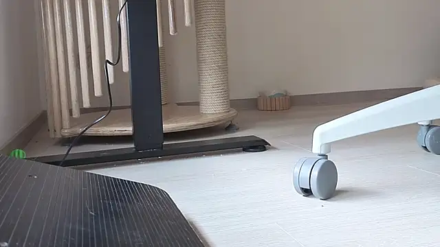 Feetbeth online show from February 2026 07:21:02 PM