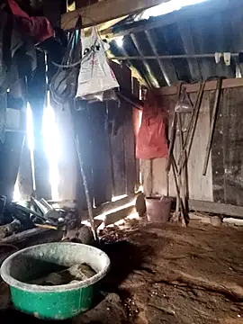 little-effy online show from March 2026 01:06:01 AM