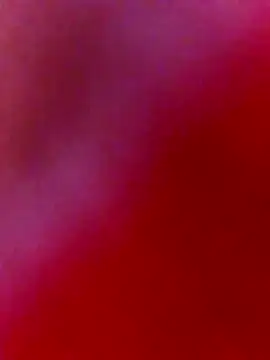 nosrat014 online show from February 2026 09:41:01 AM