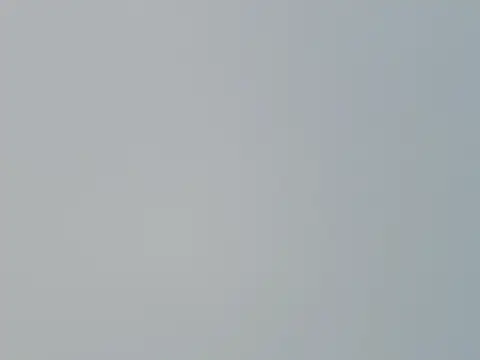 Fish 136 online show from April 2026 01:30:02 AM