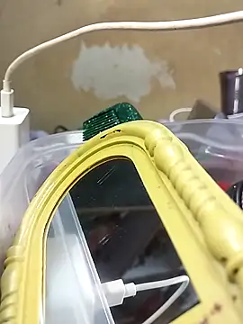 Sexy Riya123 online show from April 2026 06:12:02 PM