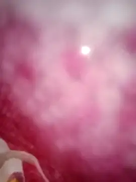 kusbu0077 online show from February 2026 08:00:02 AM