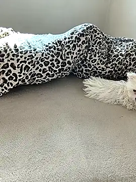 Snapshot of tenifer chatting on December 2025 09:26:01 AM tenifer online show from December 2025 09:26:01 AM