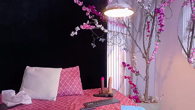 bella moonlight cr online show from March 2026 03:22:01 AM