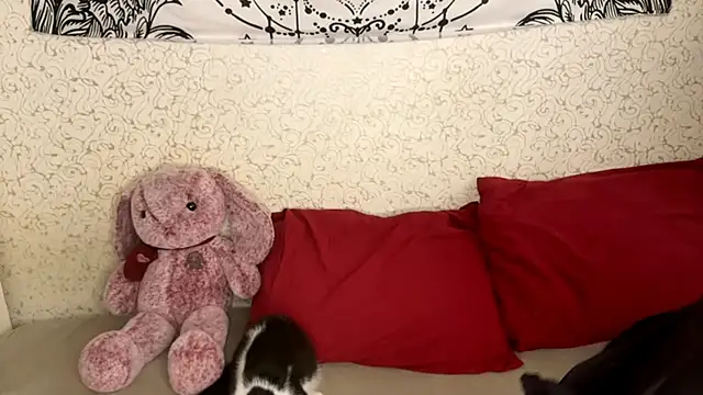 Shining Robi online show from December 2025 12:09:02 PM