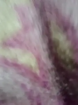 Snapshot of Lovely_priya1001 chatting on December 2025 07:30:01 PM Lovely priya1001 online show from December 2025 07:30:01 PM