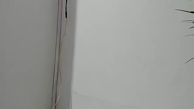 sebastamayo  online show from February 2026 05:07:02 AM