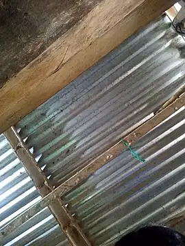 Rousse uwu online show from January 2026 05:19:02 PM