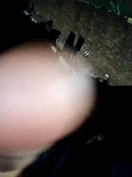 Mahi bigg online show from December 2025 03:45:01 PM