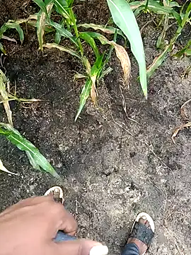 loki-king-143 online show from February 2026 04:02:02 AM