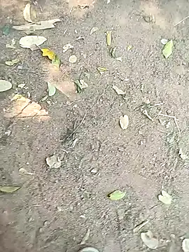 loki-king-143 online show from January 2026 05:55:01 AM