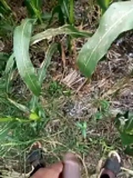 Snapshot of loki-king-143 chatting on March 2026 09:46:01 AM loki-king-143 online show from March 2026 09:46:01 AM