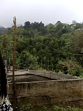  CTMay 77 online show from April 2026 04:03:01 AM