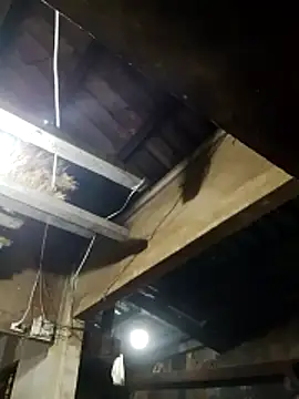  CTMay 77 online show from March 2026 12:31:01 PM