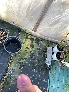 marcoboss online show from January 2026 01:48:01 PM