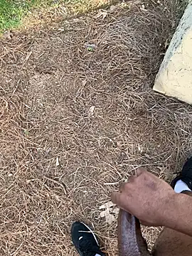 PublicBbc online show from March 2026 10:41:01 PM