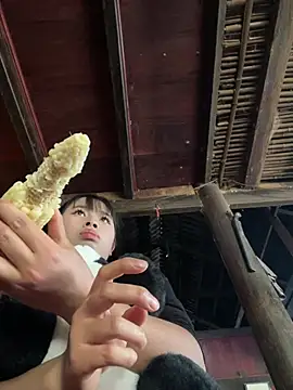 Nika-be online show from February 2026 04:12:01 AM