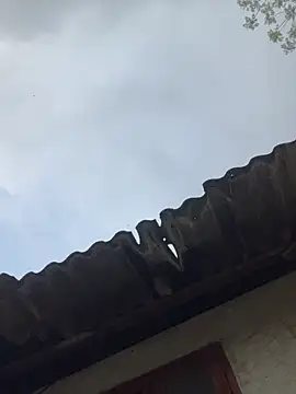 Nika-be online show from March 2026 01:14:01 AM