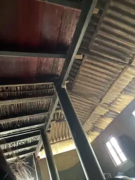 Nika-be online show from March 2026 04:19:02 AM