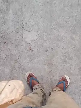 Nick universal online show from February 2026 12:54:01 AM