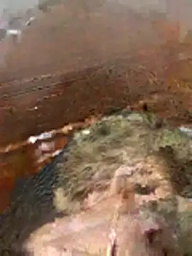 katiyvy online show from February 2026 07:12:01 PM