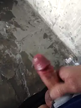 Mar81 online show from March 2026 03:17:01 PM