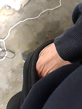 Mar81 online show from February 2026 01:09:01 PM