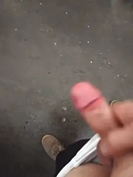 Mar81 online show from March 2026 02:24:01 PM