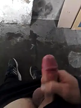 Mar81 online show from February 2026 03:11:02 PM