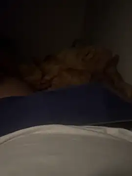 Snapshot of Night_outcam chatting on December 2025 07:48:02 PM Night outcam online show from December 2025 07:48:02 PM