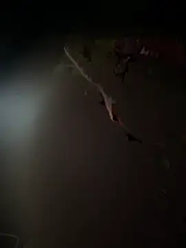 Themoroccandevil online show from March 2026 06:17:01 AM