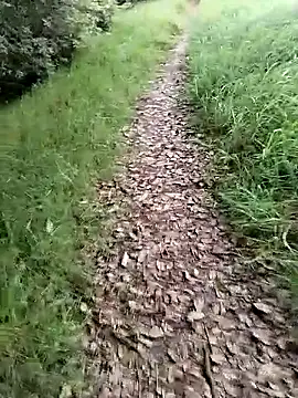 ZarayNero online show from February 2026 09:50:01 PM