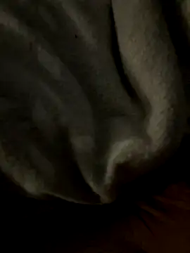 Snapshot of kb20sss chatting on December 2025 12:28:02 AM kb20sss online show from December 2025 12:28:02 AM