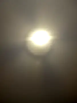 Atwsliiikizilll online show from April 2026 02:47:02 PM