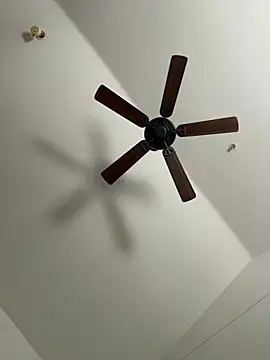 faces818 online show from March 2026 05:17:02 PM