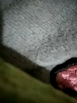 MIASA-269 online show from February 2026 11:24:02 PM