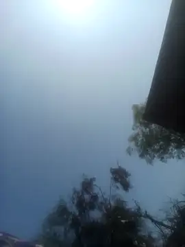 Snapshot of Pinki_rajak chatting on February 2026 06:23:01 AM Pinki rajak online show from February 2026 06:23:01 AM