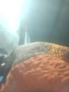 Snapshot of Pinki_rajak chatting on January 2026 07:10:02 PM Pinki rajak online show from January 2026 07:10:02 PM