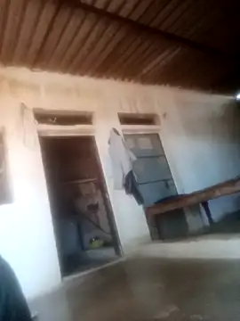 Pinki rajak online show from March 2026 11:16:02 AM