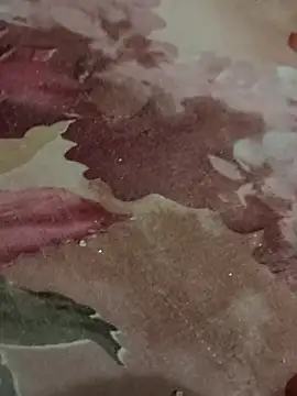 Snapshot of Niteenku chatting on February 2026 07:50:01 AM Niteenku online show from February 2026 07:50:01 AM