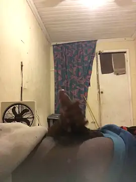 reckless 34 online show from February 2026 12:17:02 AM