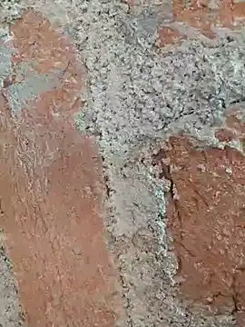 Snapshot of Soniya5533 chatting on December 2025 09:04:02 AM Soniya5533 online show from December 2025 09:04:02 AM