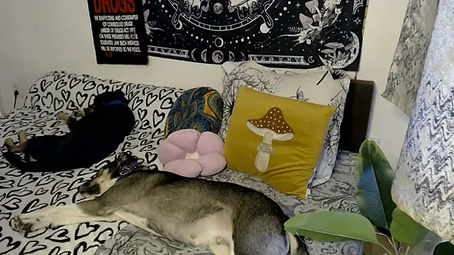 Snapshot of AlienforTwenty chatting on February 2026 08:58:02 AM AlienforTwenty online show from February 2026 08:58:02 AM