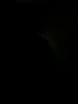 sexonli online show from January 2026 03:32:01 AM