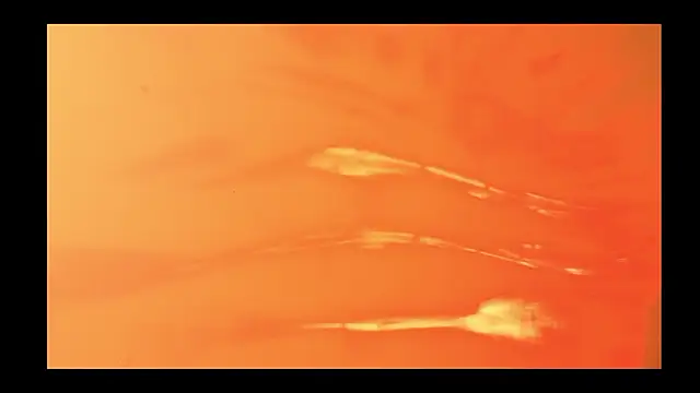 vickvalencia2 online show from February 2026 01:44:02 PM