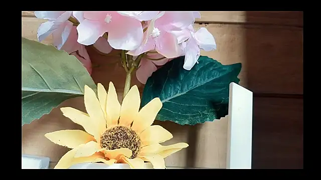 Snapshot of vickvalencia2 chatting on May 2026 01:03:01 PM vickvalencia2 online show from May 2026 01:03:01 PM