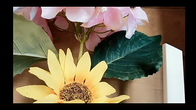 Snapshot of vickvalencia2 chatting on May 2026 01:47:01 PM vickvalencia2 online show from May 2026 01:47:01 PM