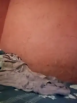 THErealHeat online show from February 2026 05:38:02 AM